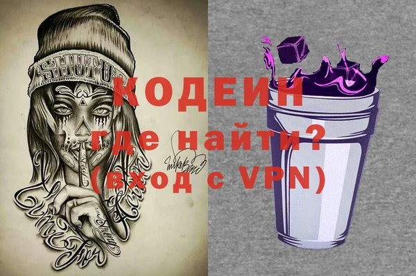 индика Дмитров